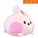 BT21 Nap Pillow Cooky Plush